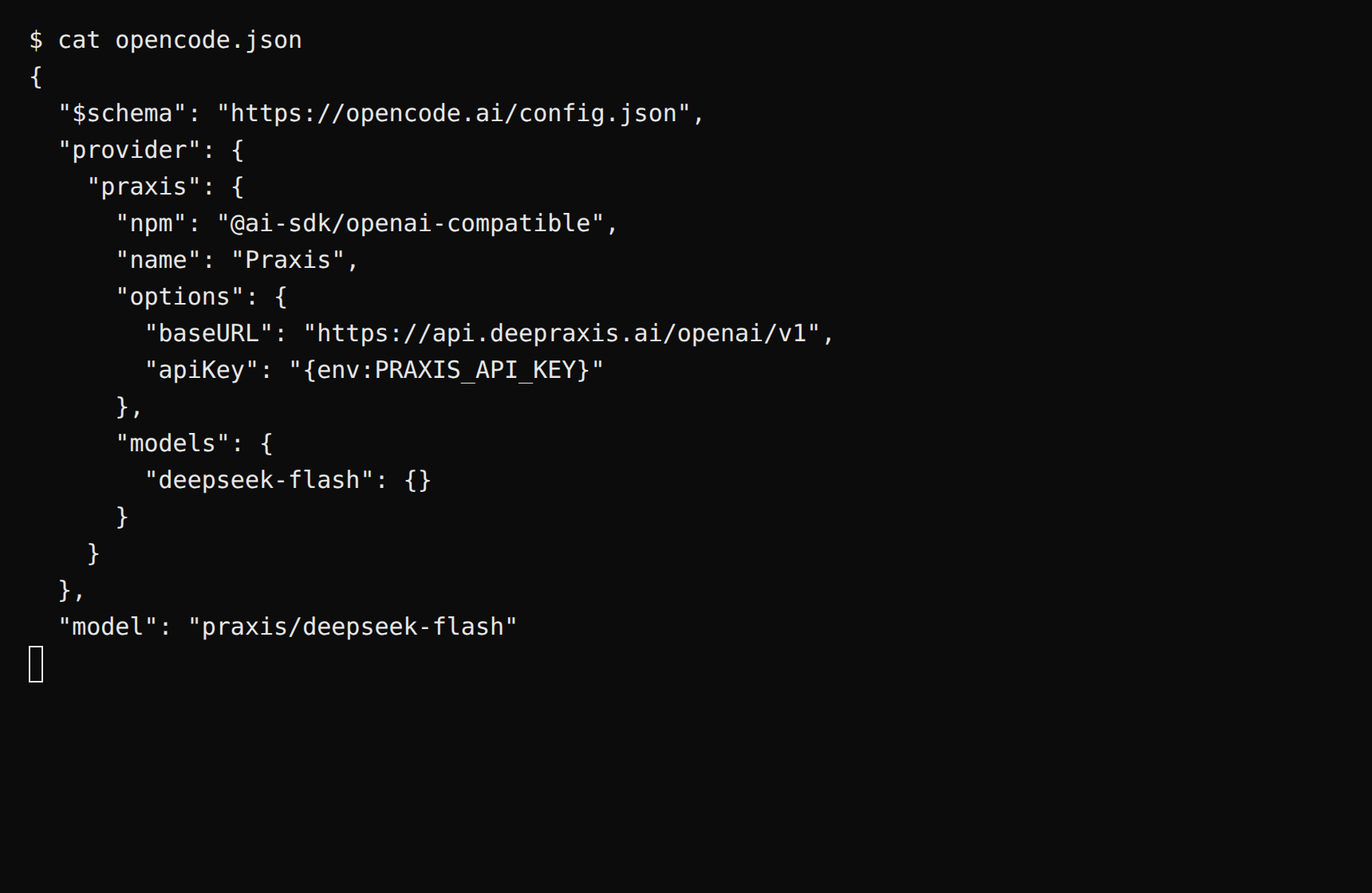 终端里查看 opencode.json 的实际内容