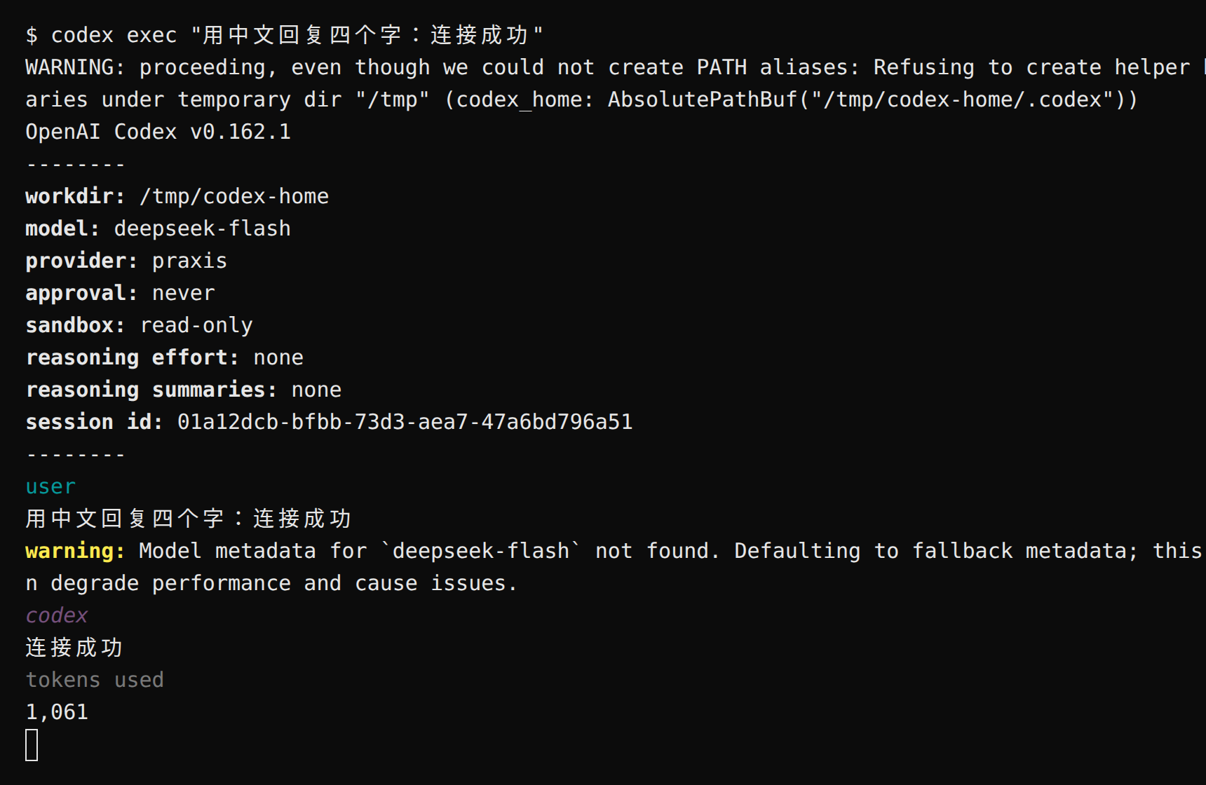 终端运行 codex exec 的真实输出